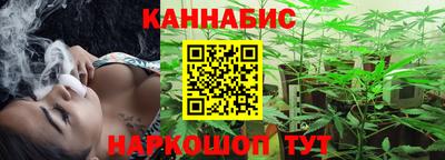 стаф Вязьма