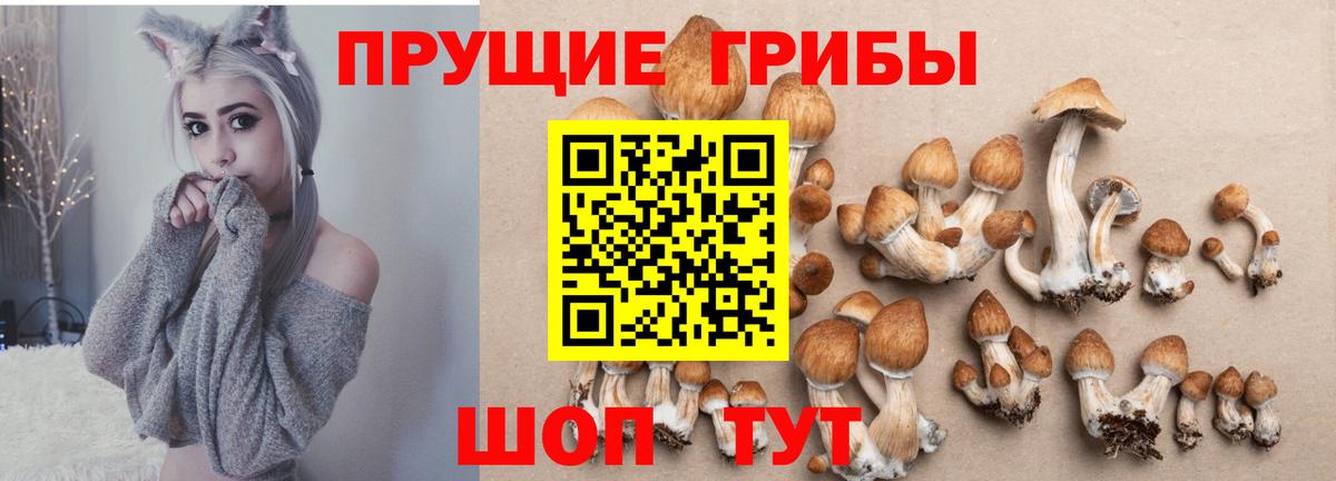 Владивосток  продажа наркотиков  Вход с VPN  Псилоцибиновые грибы мухоморы 